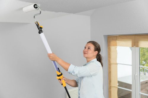 WAGNER Easy Roller kézi festőhenger